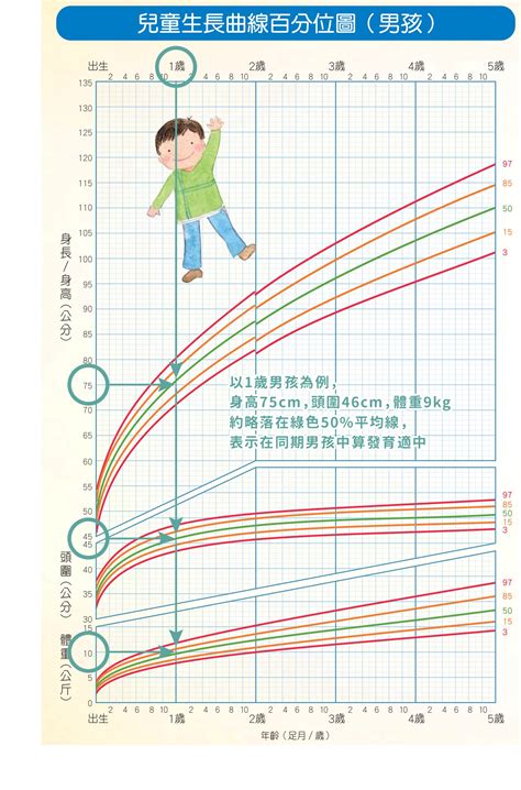 小孩成長過程|兒童生長曲線及發展評估